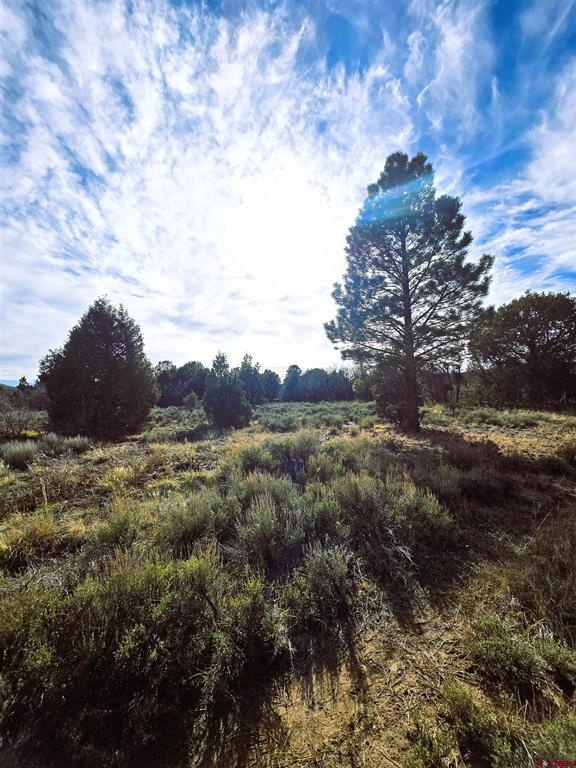 2a W. Beaver Pines Loop Property Photo 22