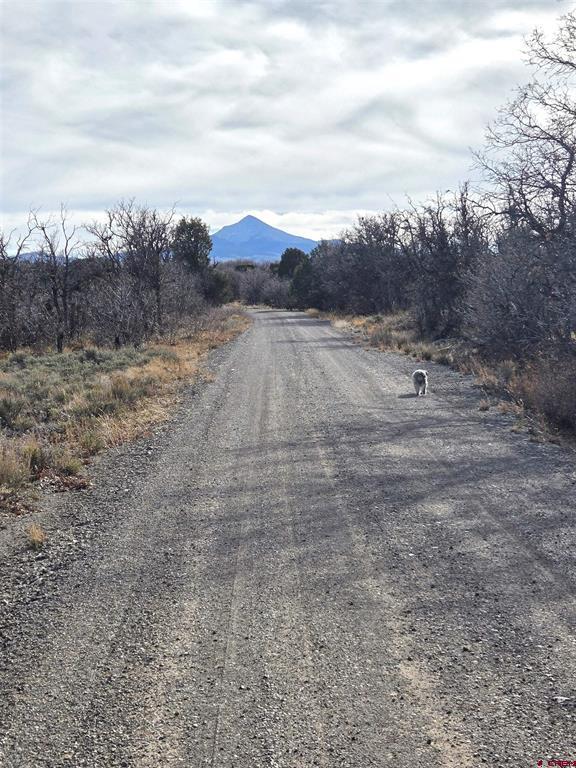 2a W. Beaver Pines Loop Property Photo 23