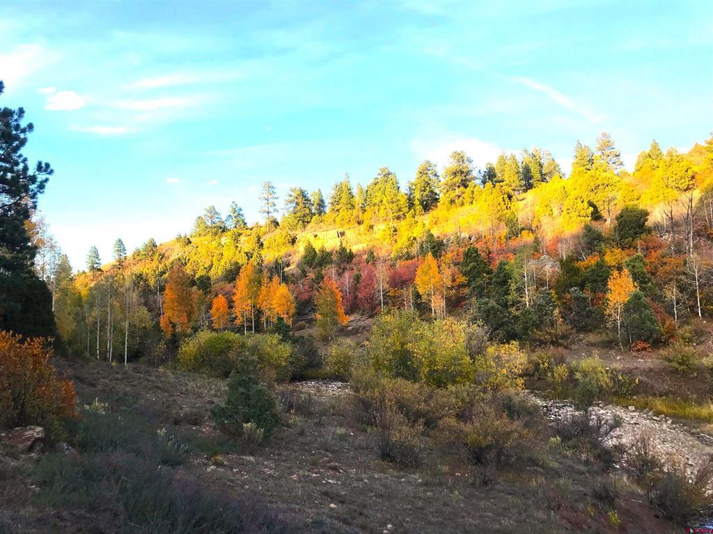 2a W. Beaver Pines Loop Property Photo 29