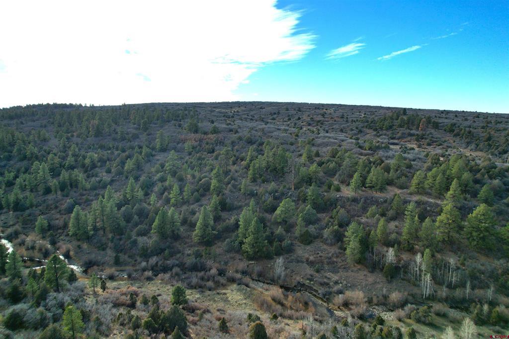2a W. Beaver Pines Loop Property Photo 32