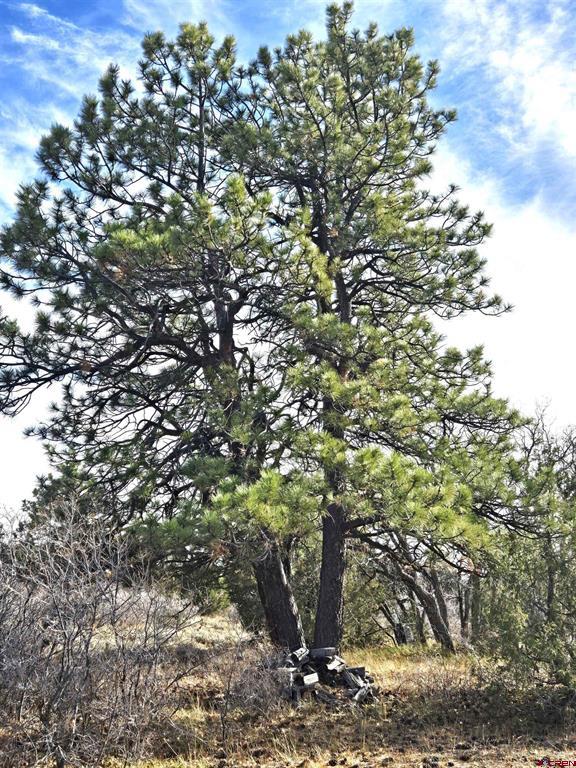 2a W. Beaver Pines Loop Property Photo 34