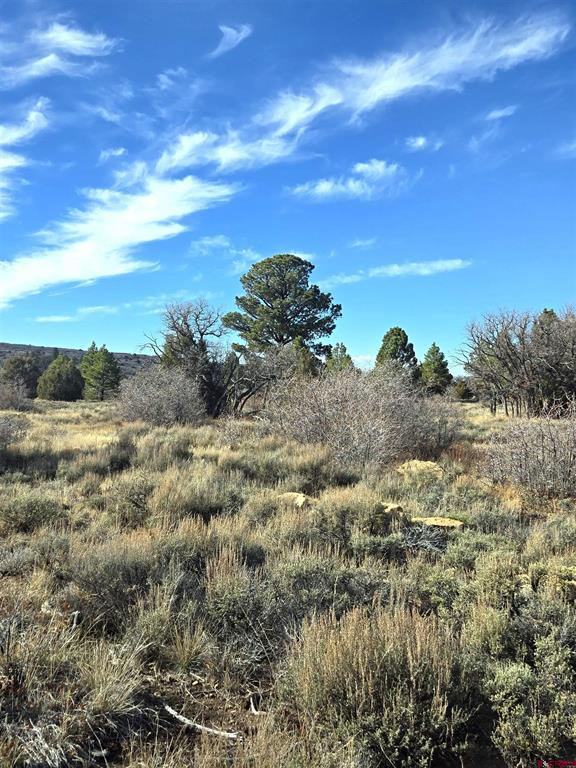 2a W. Beaver Pines Loop Property Photo 35