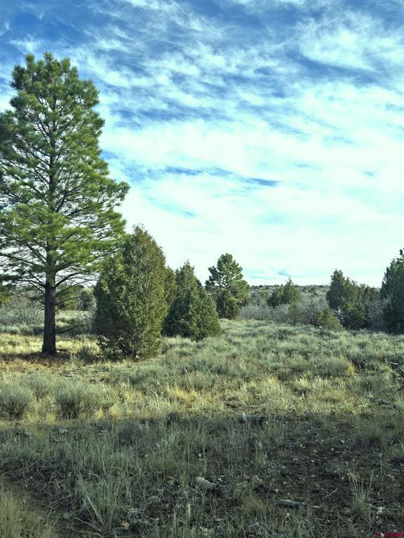 2a W. Beaver Pines Loop Property Photo 37