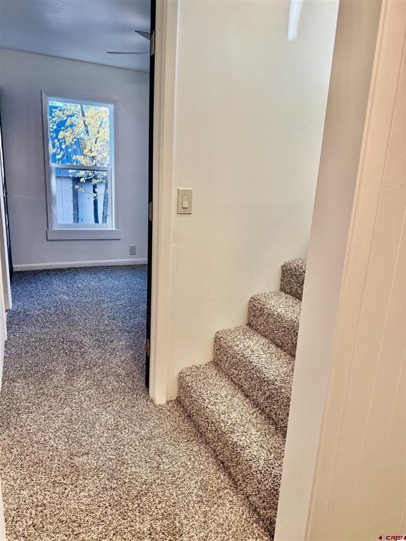 460 Fox Street Property Photo 23