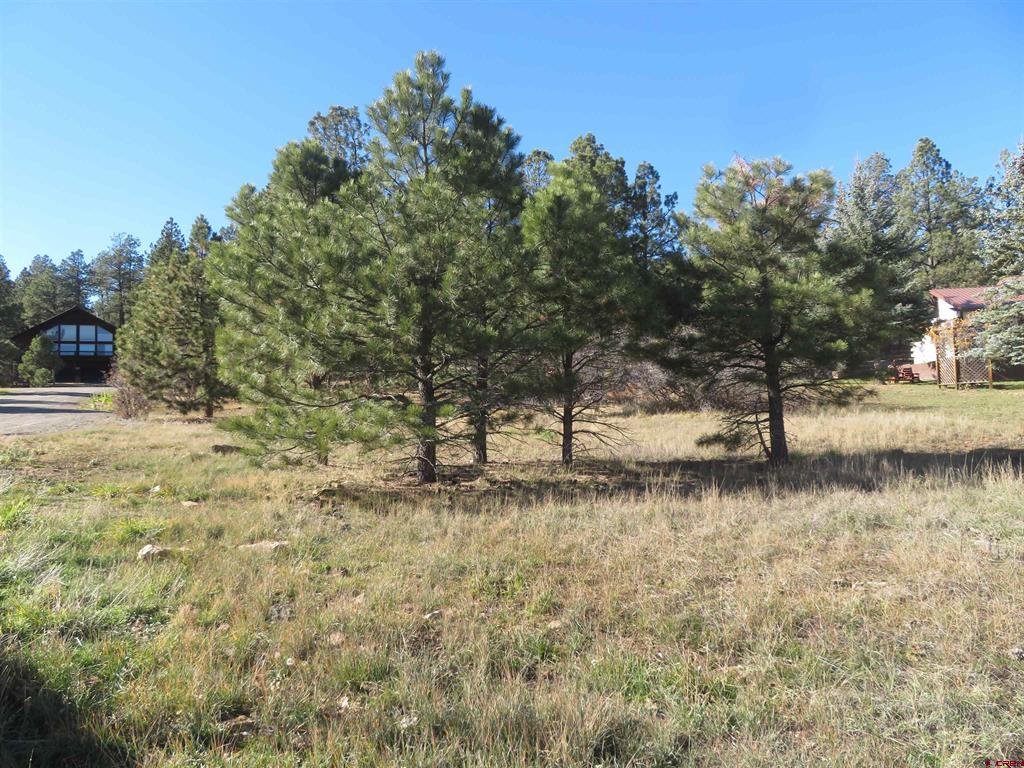 905 Hills Circle Property Photo 2