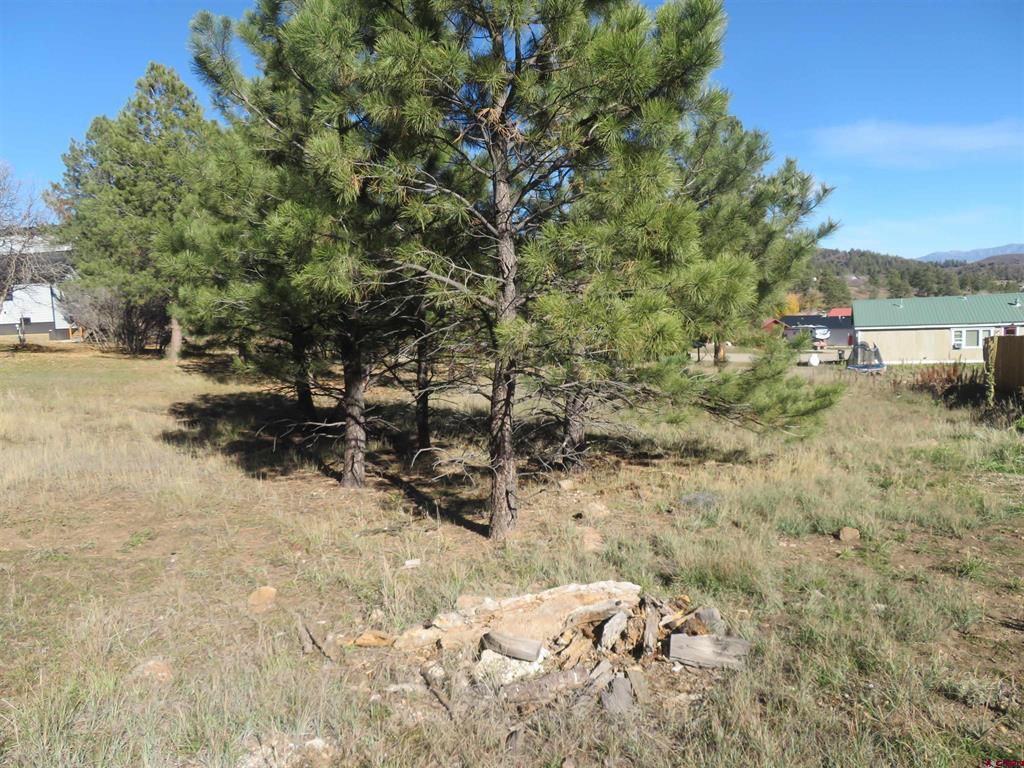 905 Hills Circle Property Photo 3