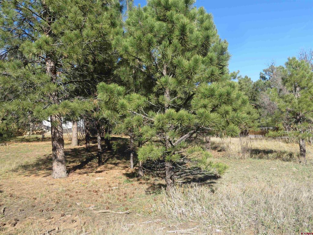 905 Hills Circle Property Photo 4