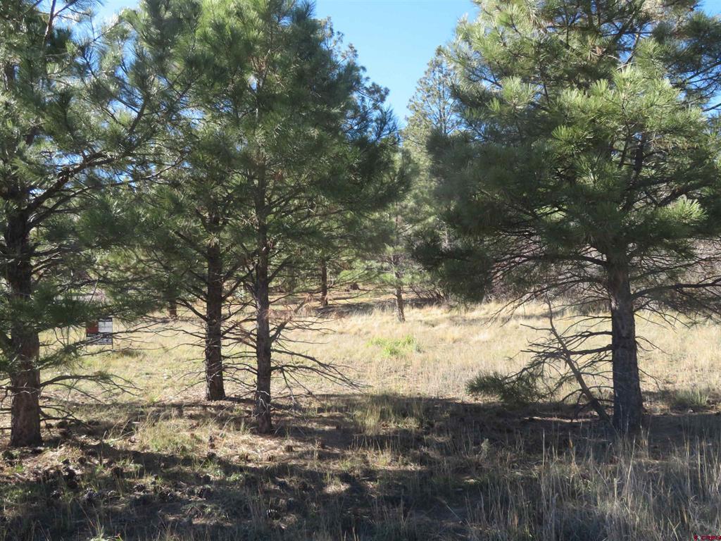 905 Hills Circle Property Photo 5