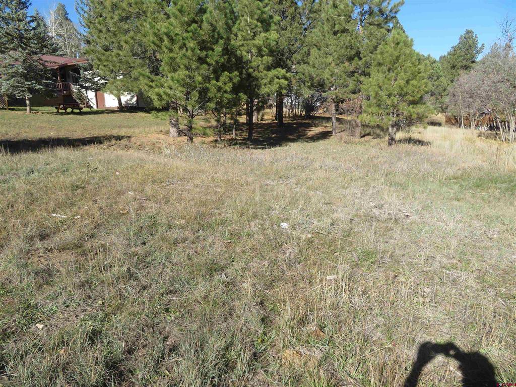 905 Hills Circle Property Photo 6