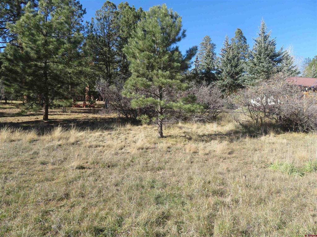 905 Hills Circle Property Photo 7