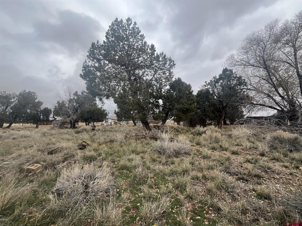 51654 Highway 491 Property Photo 3