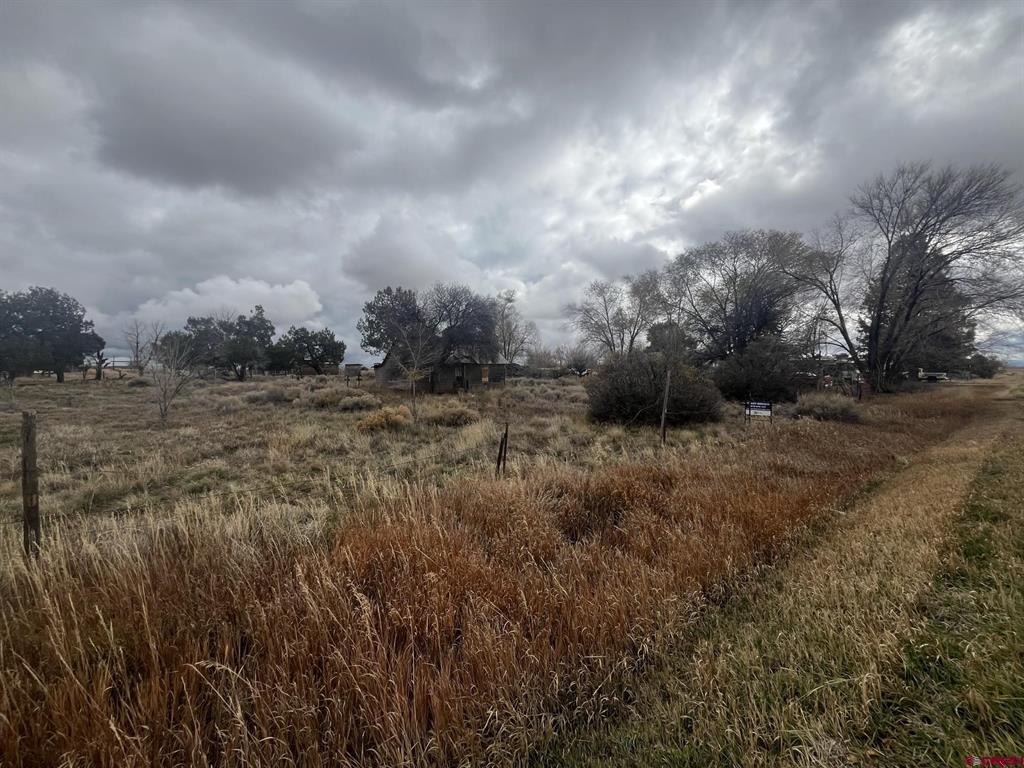 51654 Highway 491 Property Photo 4