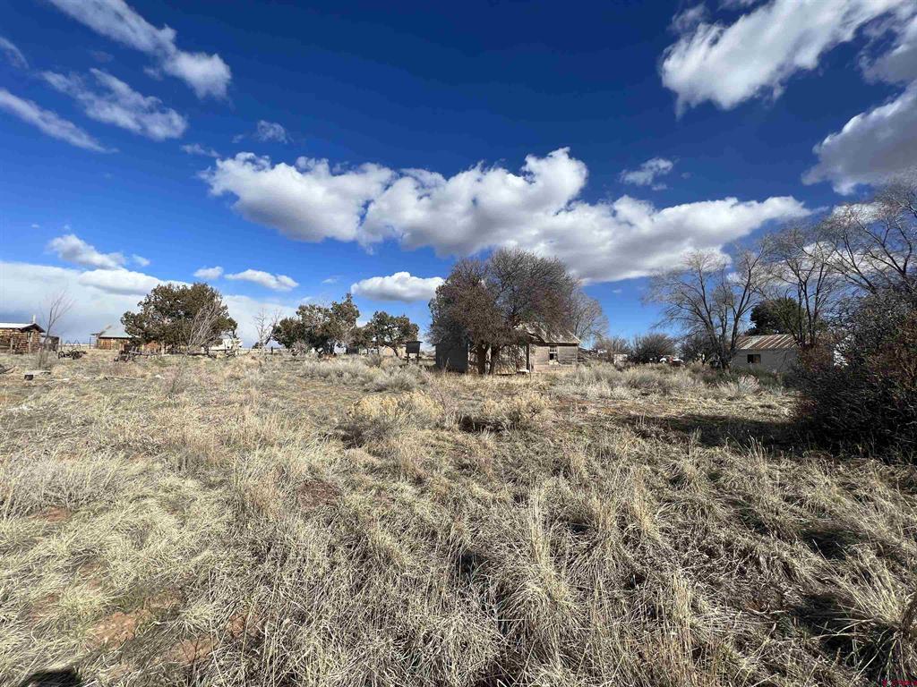 51654 Highway 491 Property Photo 16
