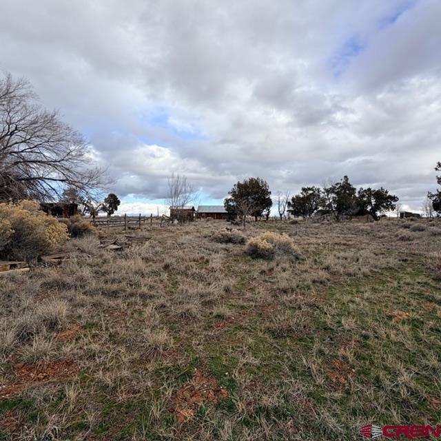 51654 Highway 491 Property Photo 17