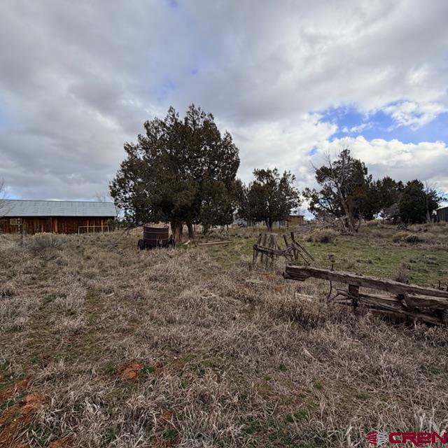 51654 Highway 491 Property Photo 18