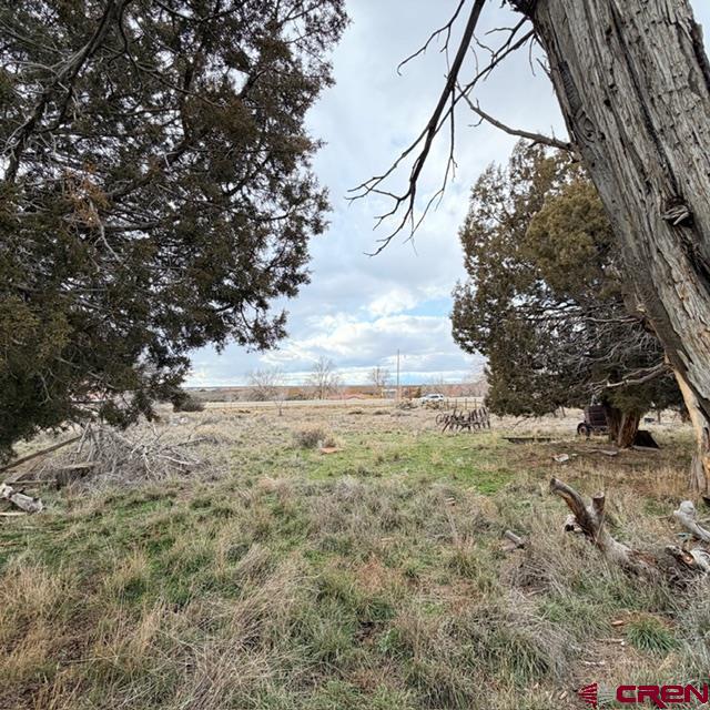 51654 Highway 491 Property Photo 20