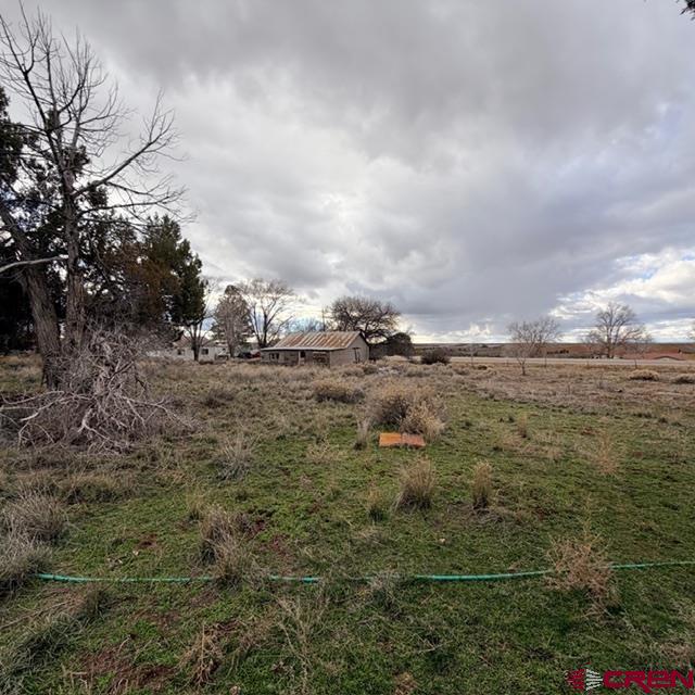 51654 Highway 491 Property Photo 21