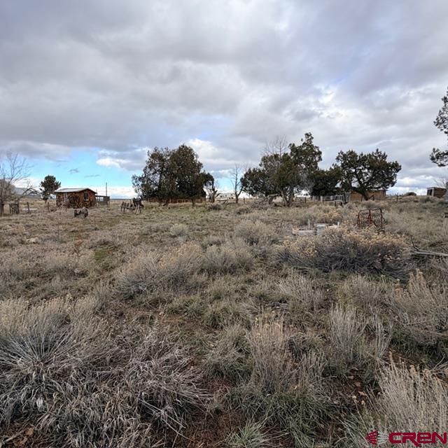 51654 Highway 491 Property Photo 24