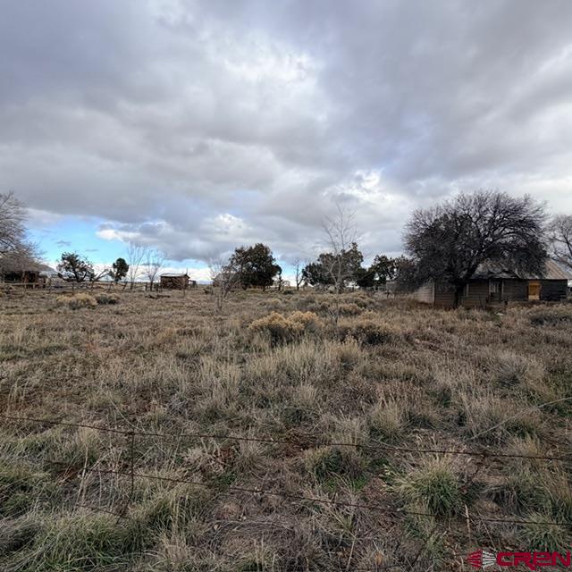 51654 Highway 491 Property Photo 25