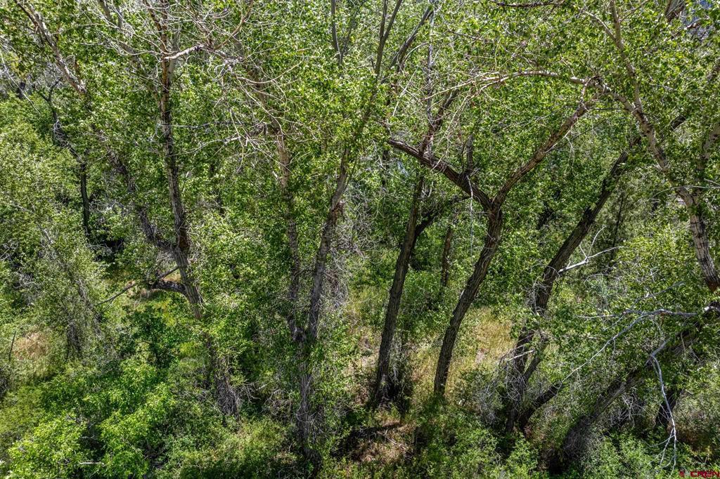 1110 Animas View Drive Property Photo 28