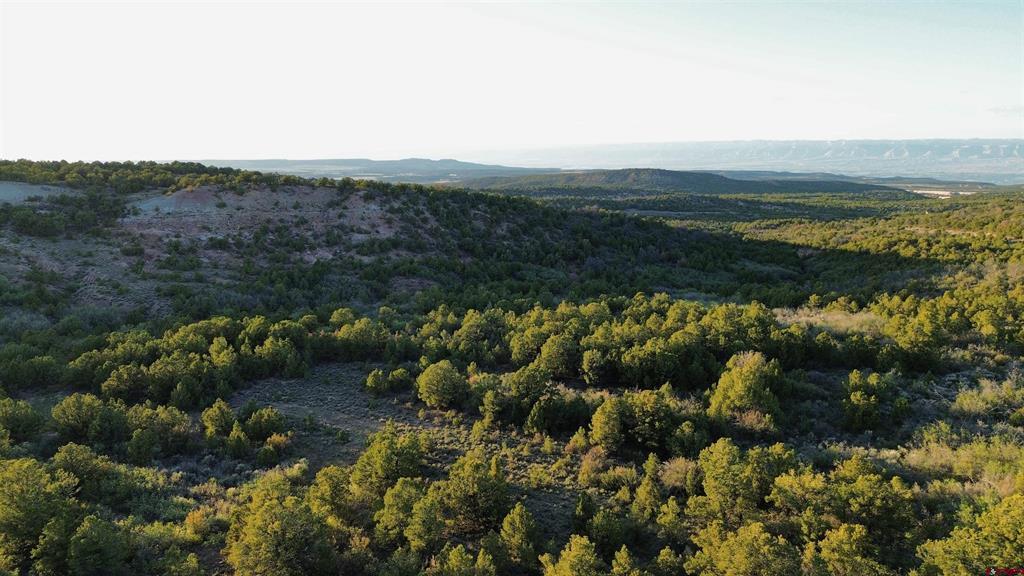 18975 Elk Reserve Road Property Photo 3