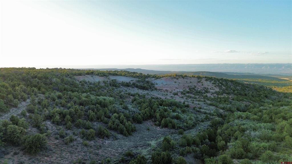 18975 Elk Reserve Road Property Photo 8