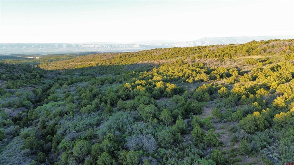 18975 Elk Reserve Road Property Photo 9