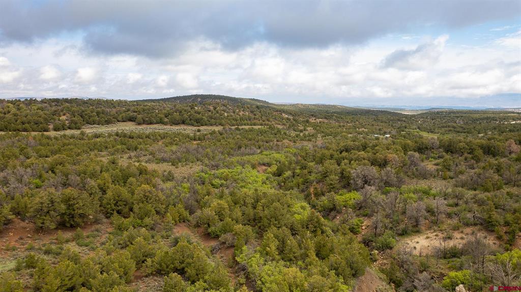 18975 Elk Reserve Road Property Photo 10