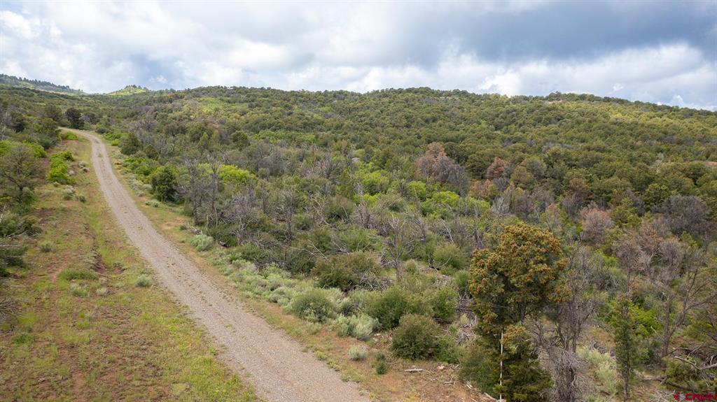 18975 Elk Reserve Road Property Photo 11