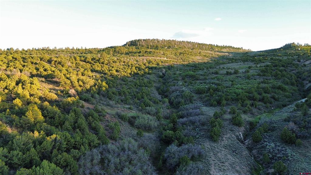 18975 Elk Reserve Road Property Photo 12