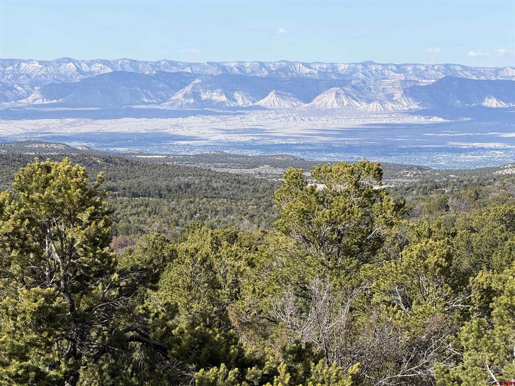 18975 Elk Reserve Road Property Photo 21