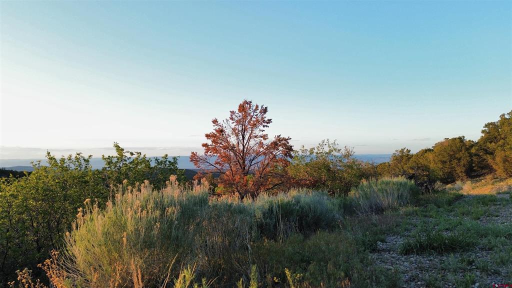 18975 Elk Reserve Road Property Photo 22