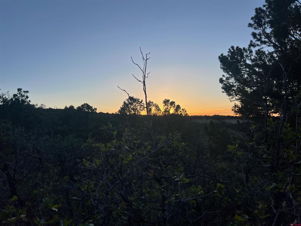 18975 Elk Reserve Road Property Photo 25