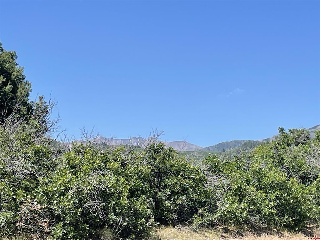 902 Roberts Ridge Property Photo 4