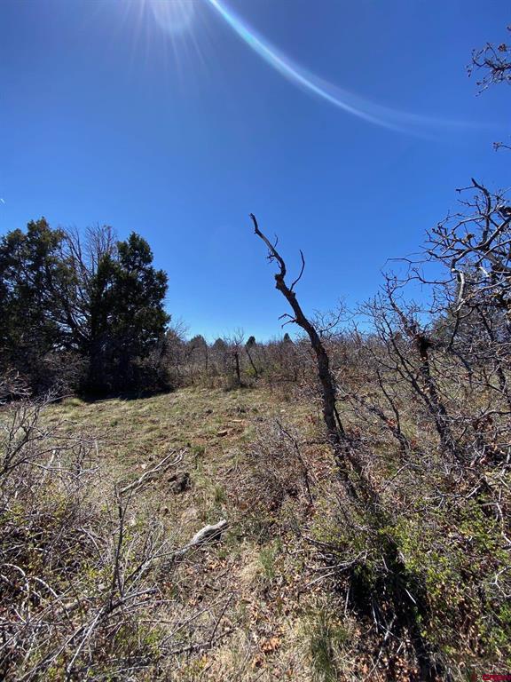 902 Roberts Ridge Property Photo 10