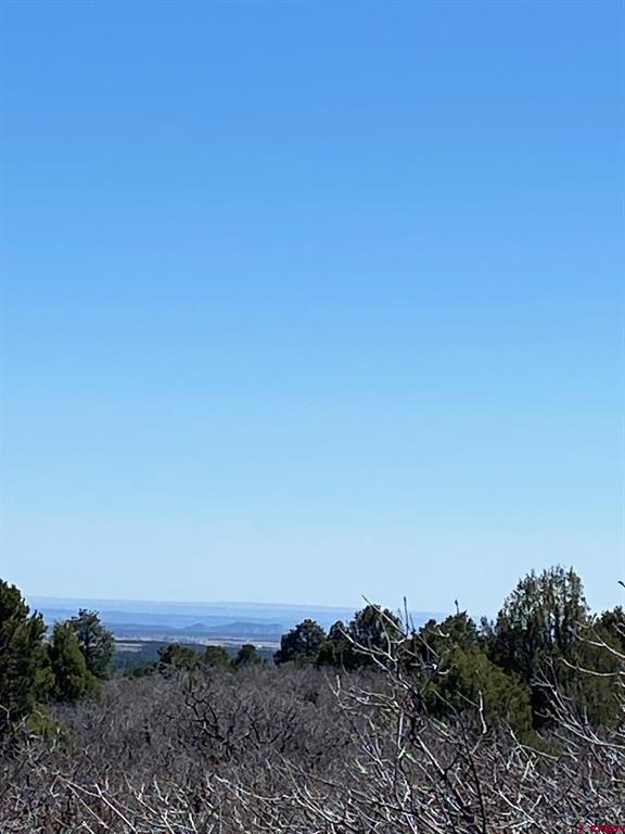 902 Roberts Ridge Property Photo 11