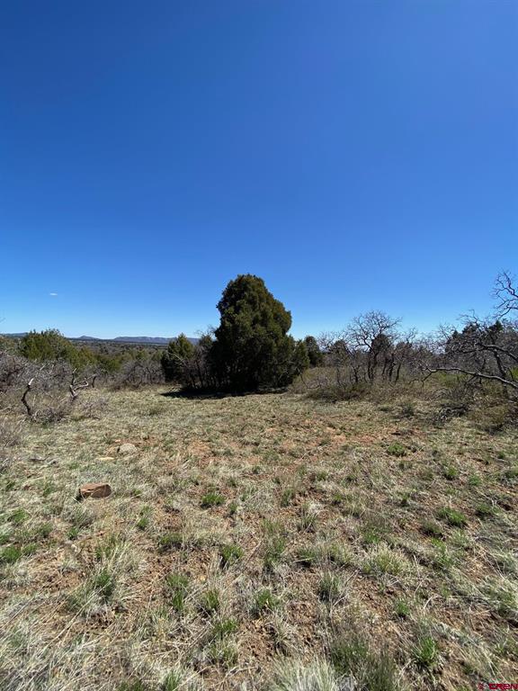 902 Roberts Ridge Property Photo 12