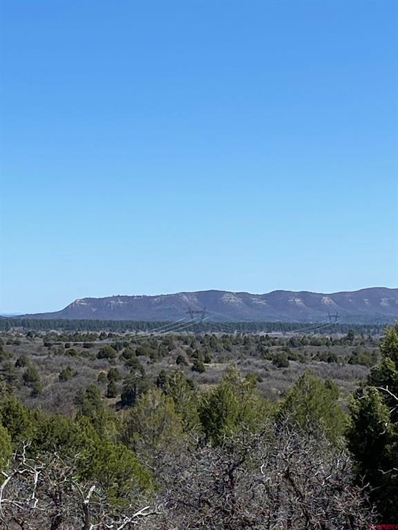 902 Roberts Ridge Property Photo 13