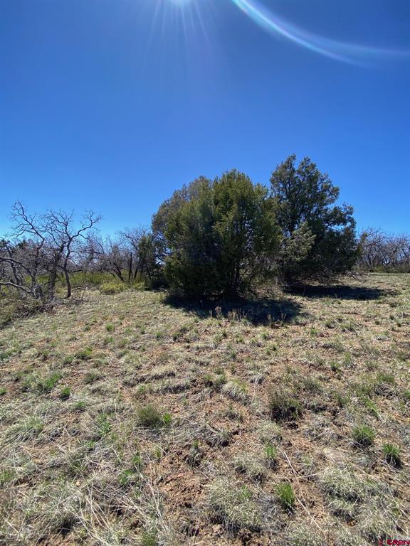 902 Roberts Ridge Property Photo 16
