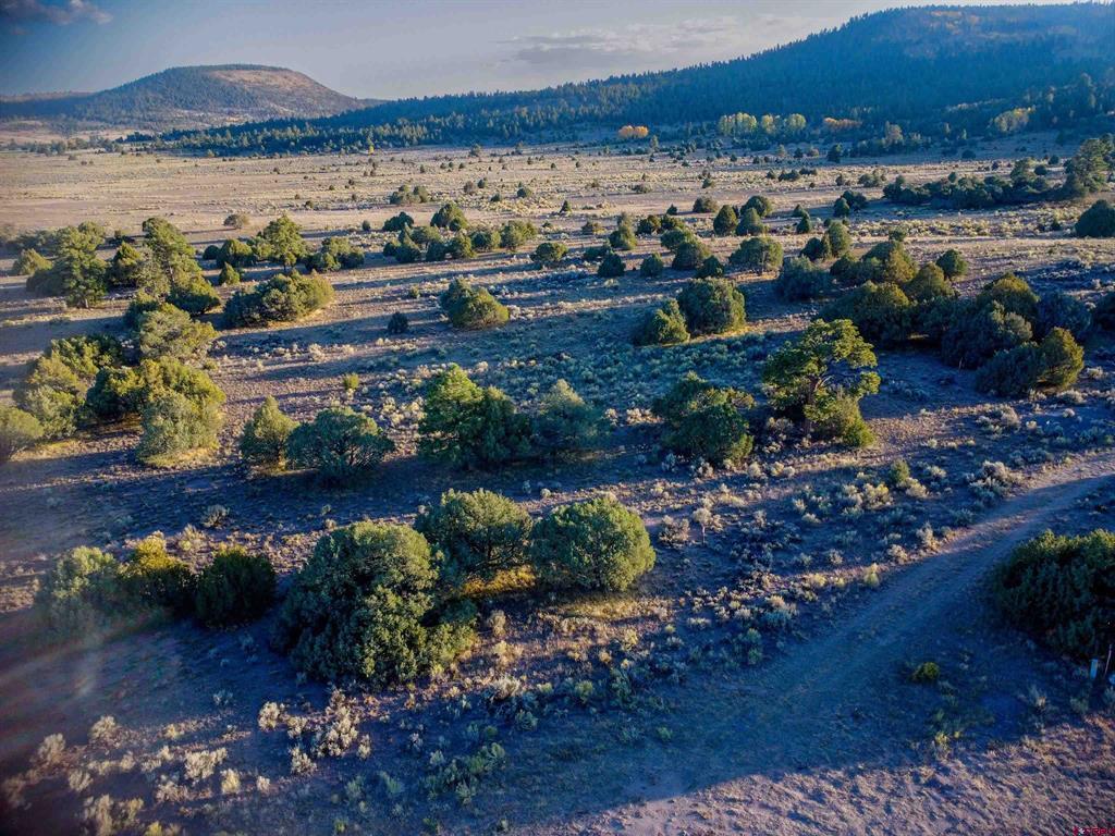 Block 10 Lot 1 Conejos Trails Rd Property Photo 1