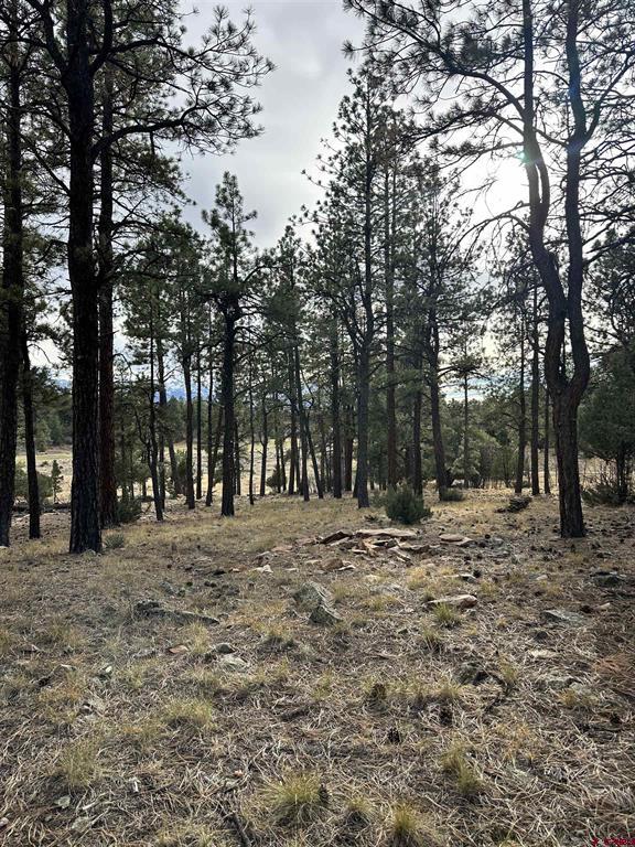 46 Marmot Court Property Photo 4