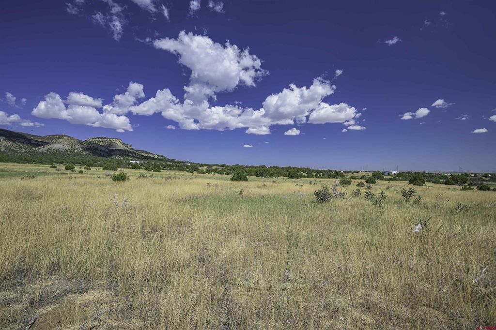 15308 Cr 71.1 Property Photo 16