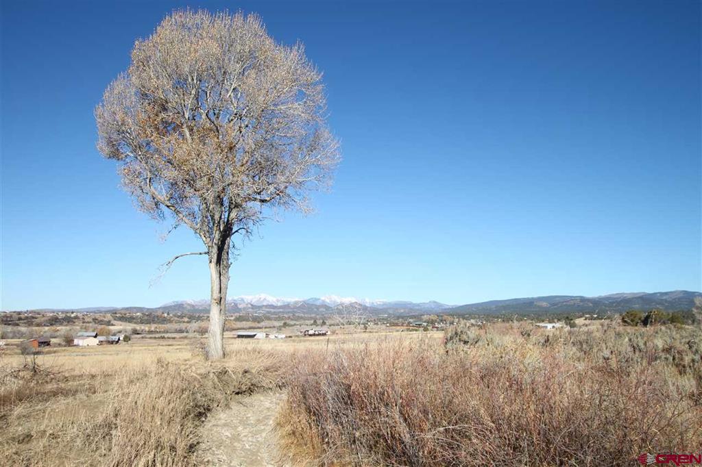 Tbd County Road 510 Property Photo 1
