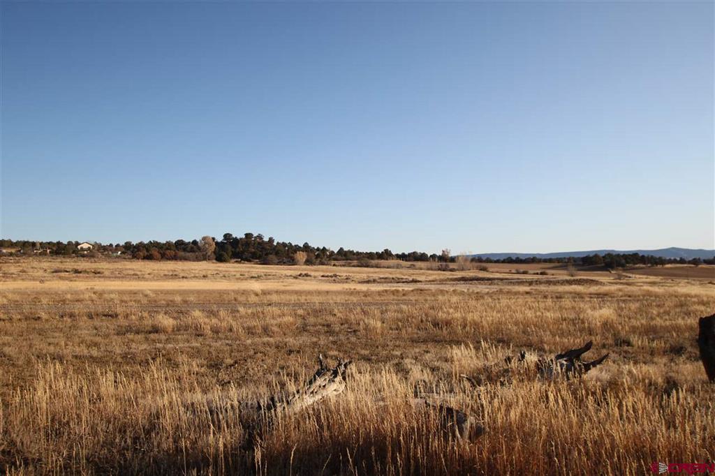 Tbd County Road 510 Property Photo 3