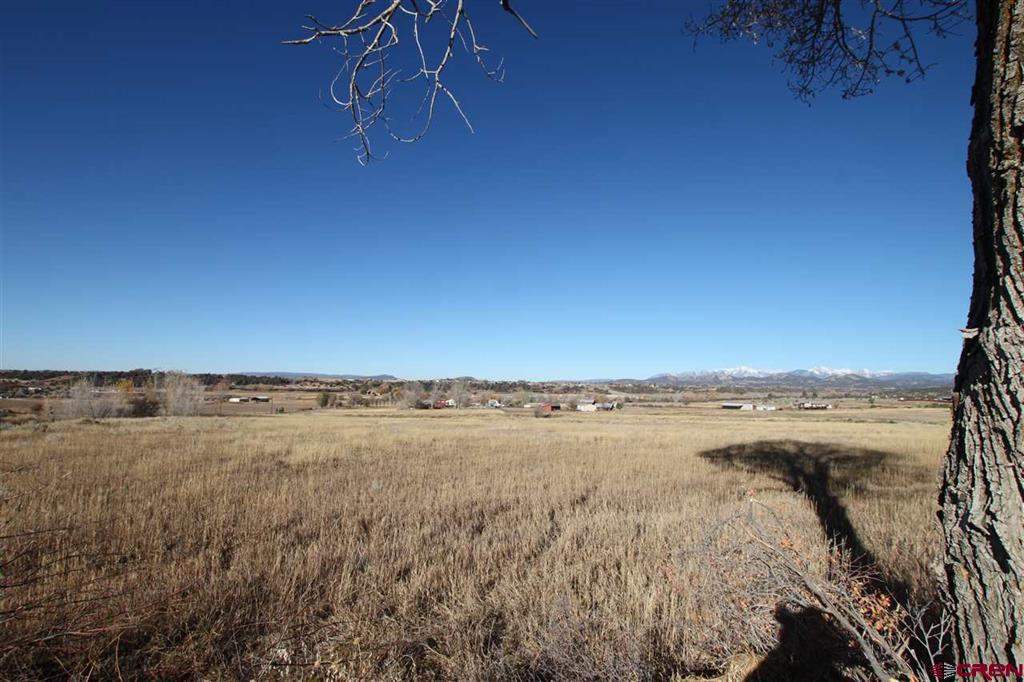 Tbd County Road 510 Property Photo 4