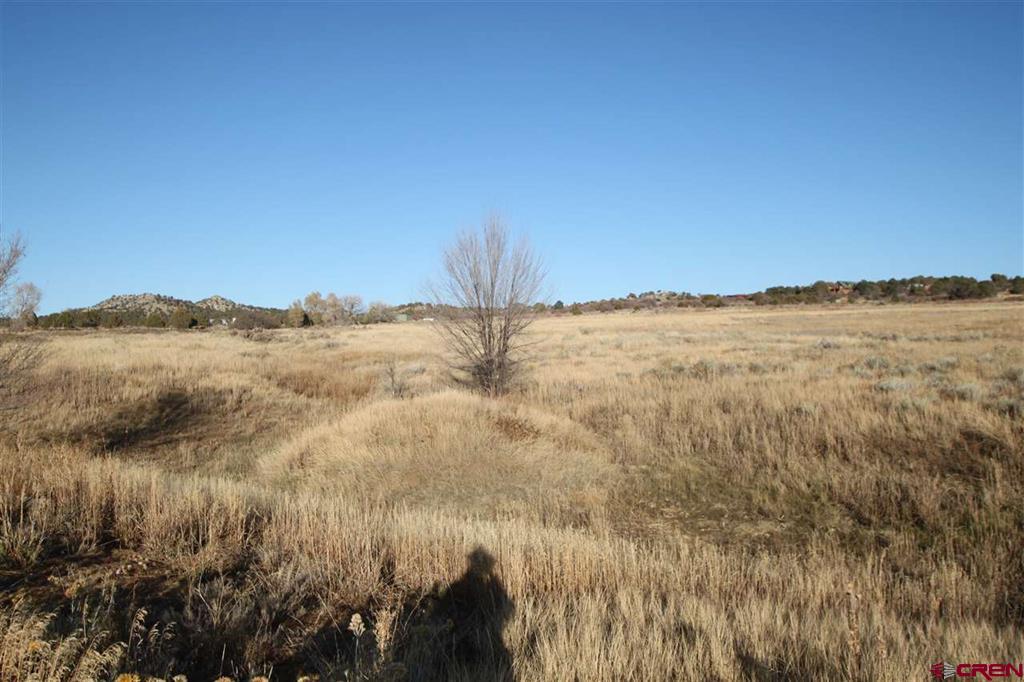 Tbd County Road 510 Property Photo 5