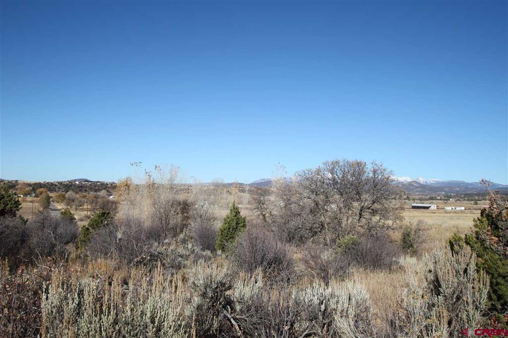Tbd County Road 510 Property Photo 6