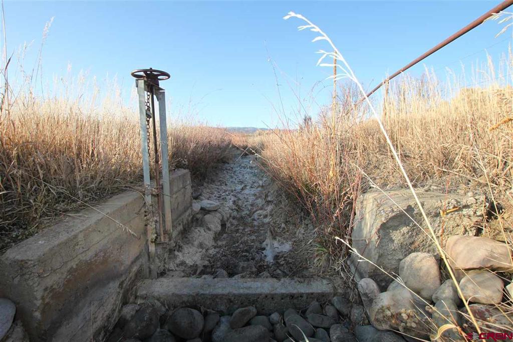 Tbd County Road 510 Property Photo 8