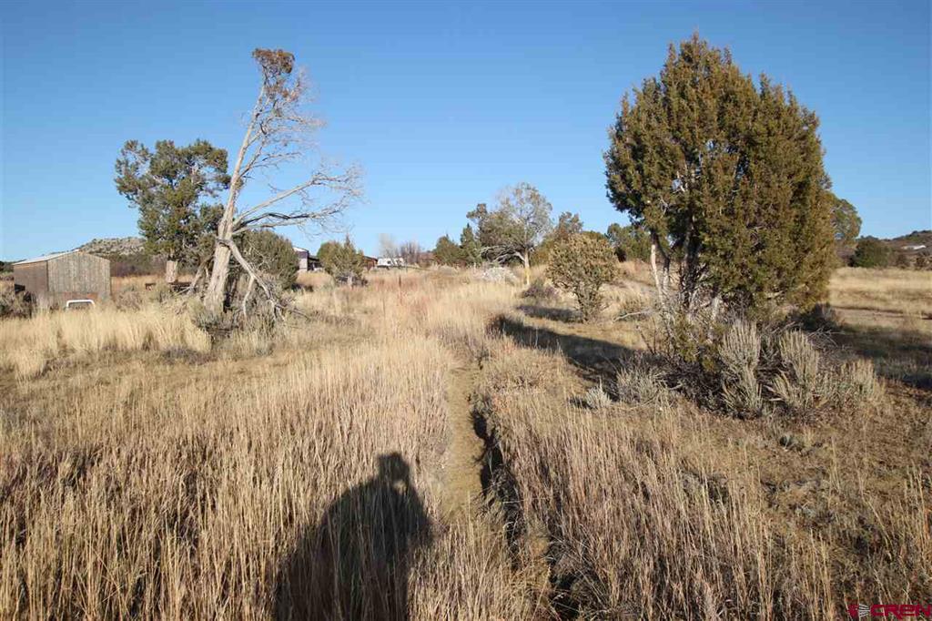Tbd County Road 510 Property Photo 10