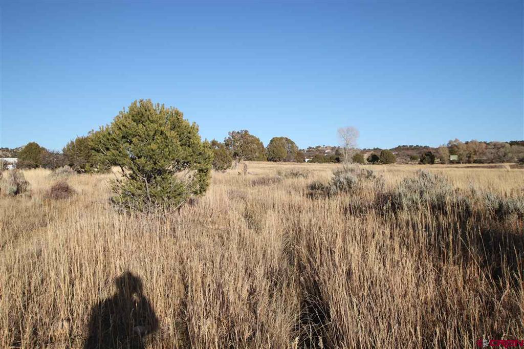 Tbd County Road 510 Property Photo 11